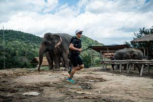 BIB: 
                            <button type="button" onclick="openModal(22423232)" class="btn btn-primary btn-sm float-right btn-popup" data-toggle="modal" data-target=".modal-high-quality">
                        <i class="fas fa-shopping-cart"></i> Add to Cart
                    </button>
                                            <button type="button" onclick="isThisMe(22423232, true)" class="btn btn-success btn-sm float-right btn-popup btn-isme hidden" data-toggle="tooltip" data-placement="bottom" title="นี่คือรูปของคุณใช่ไหม คลิกที่นี่เพื่อเอาเข้าอัลบั้ม">
                        <i class="fas fa-plus"></i> Add to album
                    </button>
                    <button type="button" onclick="isThisMe(22423232, false)" class="btn btn-warning btn-sm float-right btn-popup btn-isnotme hidden">
                        <i class="fas fa-ban"></i> Remove from album
                    </button>